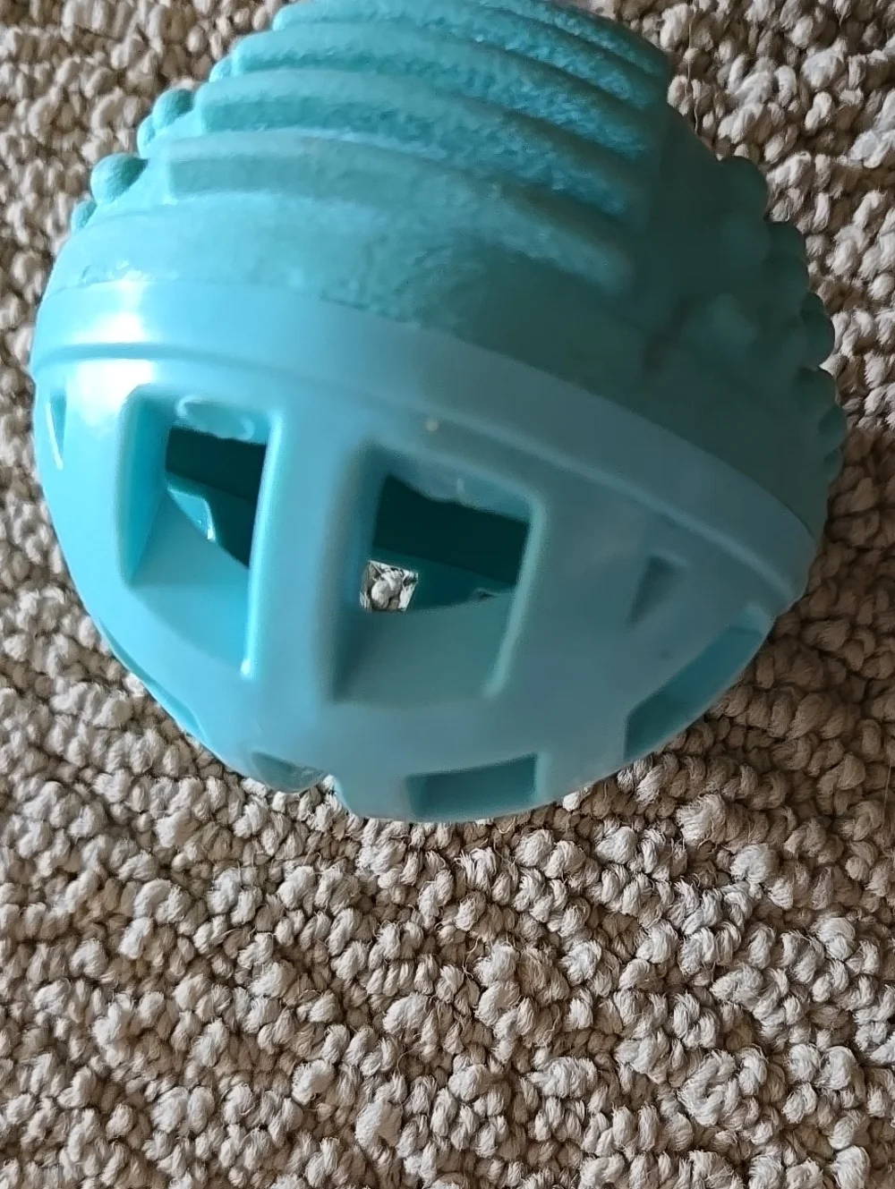 Petco durable teal